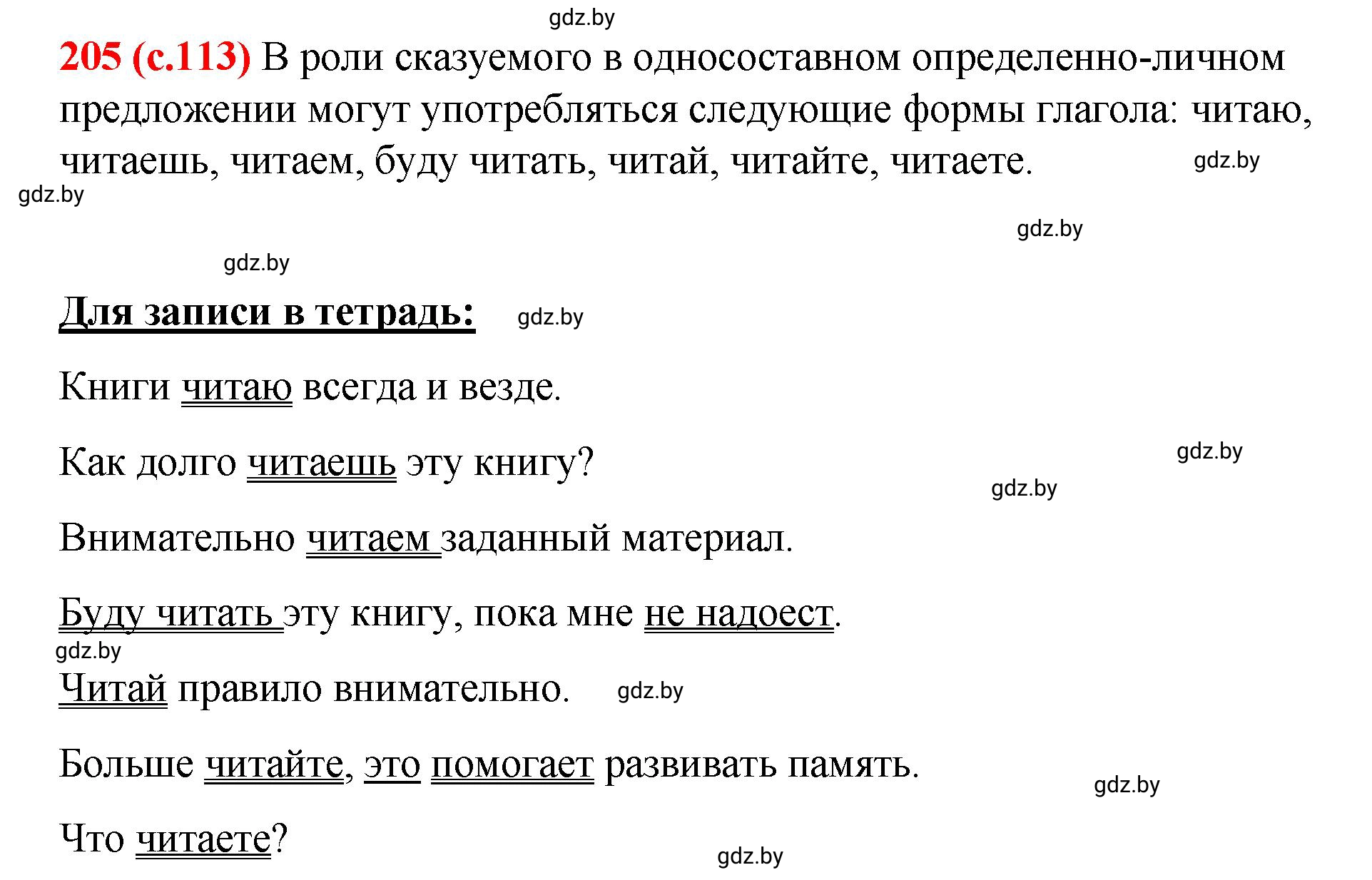 Решение номер 205 (страница 113) гдз по русскому языку 8 класс Мурина, Долбик, учебник