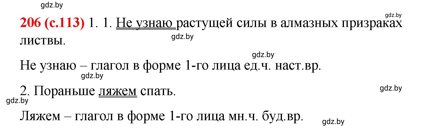 Решение номер 206 (страница 113) гдз по русскому языку 8 класс Мурина, Долбик, учебник