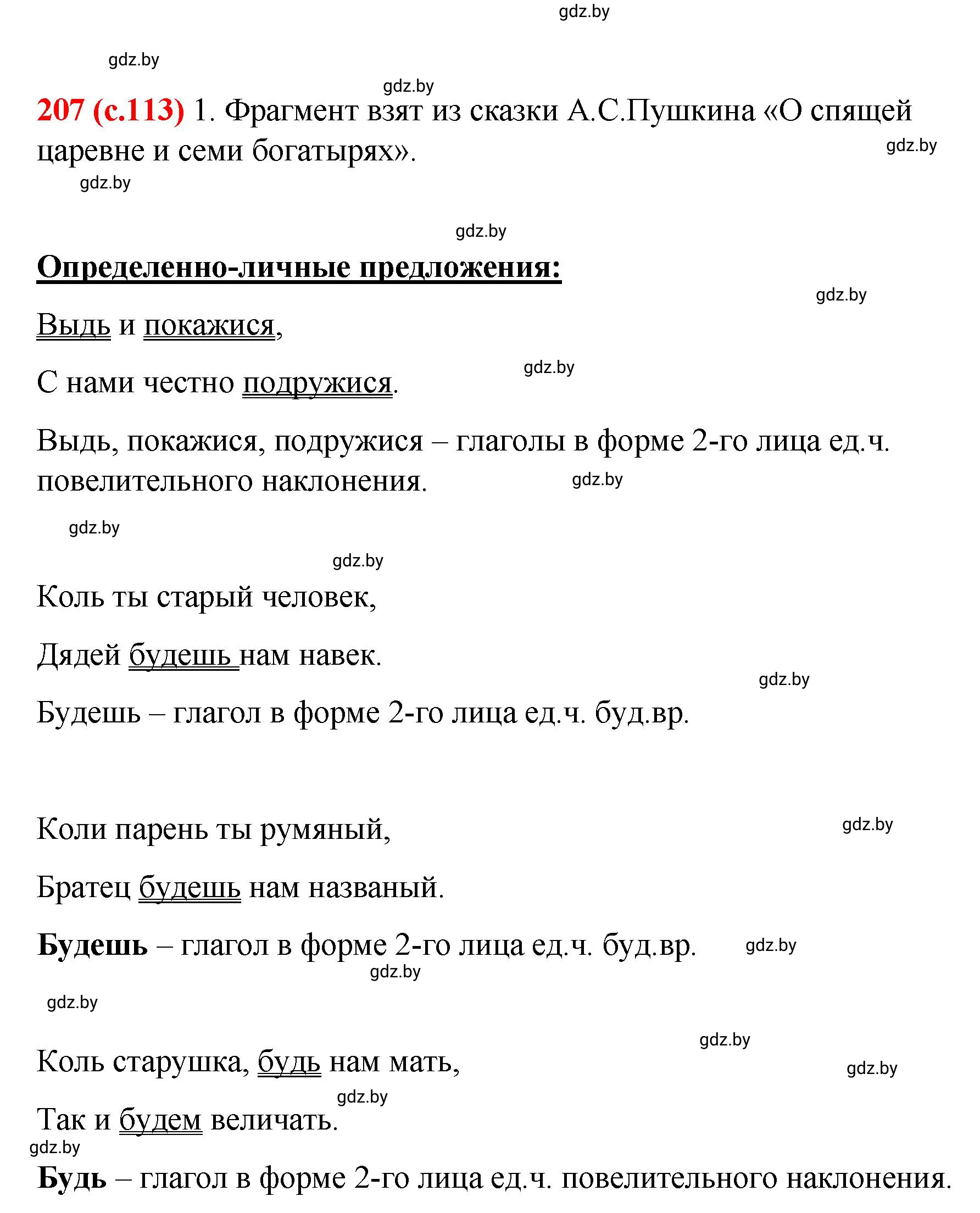 Решение номер 207 (страница 113) гдз по русскому языку 8 класс Мурина, Долбик, учебник