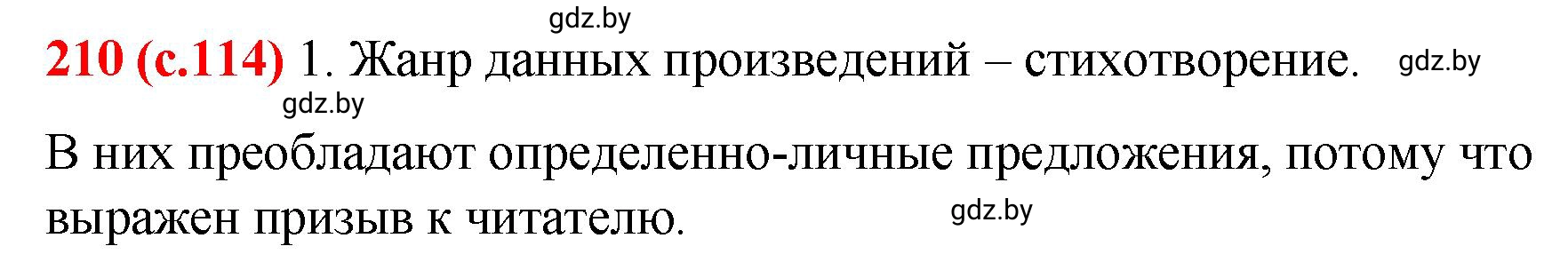 Решение номер 210 (страница 114) гдз по русскому языку 8 класс Мурина, Долбик, учебник