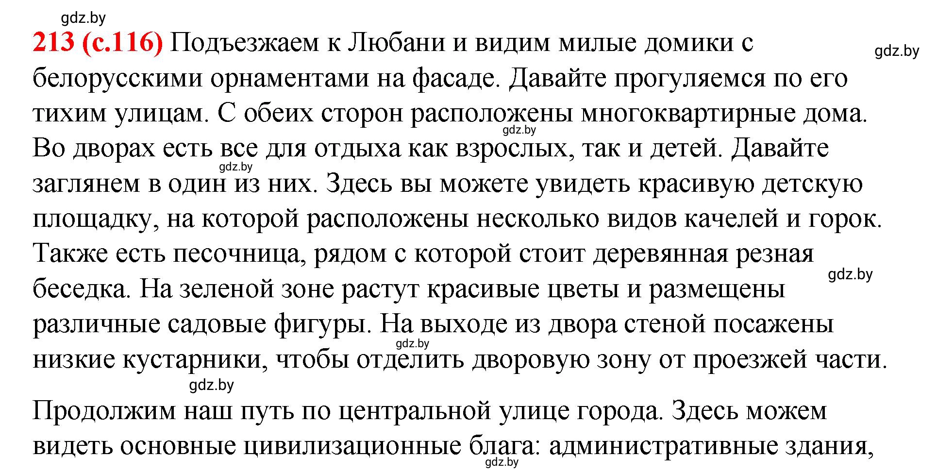 Решение номер 213 (страница 116) гдз по русскому языку 8 класс Мурина, Долбик, учебник