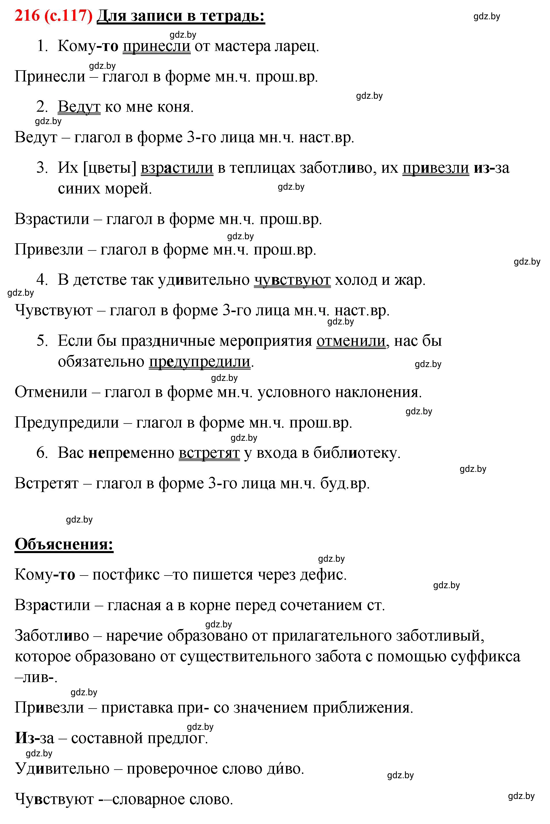 Решение номер 216 (страница 117) гдз по русскому языку 8 класс Мурина, Долбик, учебник