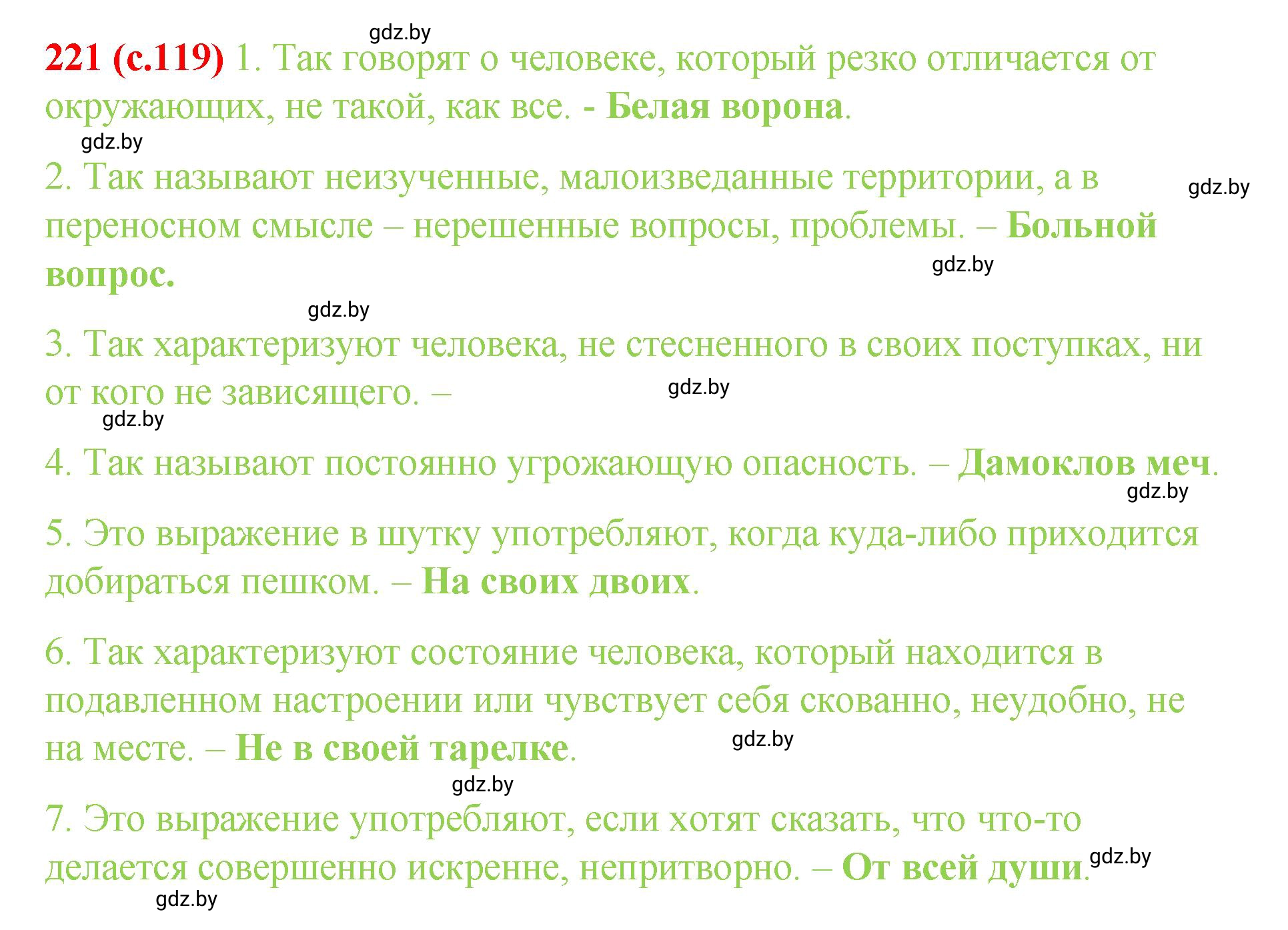 Решение номер 221 (страница 119) гдз по русскому языку 8 класс Мурина, Долбик, учебник