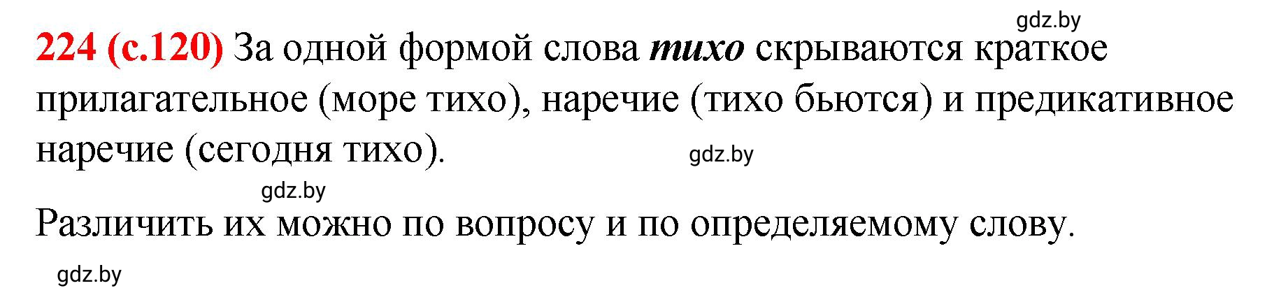 Решение номер 224 (страница 120) гдз по русскому языку 8 класс Мурина, Долбик, учебник