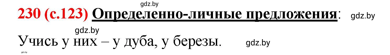 Решение номер 230 (страница 123) гдз по русскому языку 8 класс Мурина, Долбик, учебник