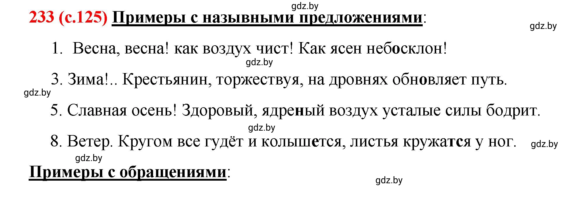 Решение номер 233 (страница 125) гдз по русскому языку 8 класс Мурина, Долбик, учебник