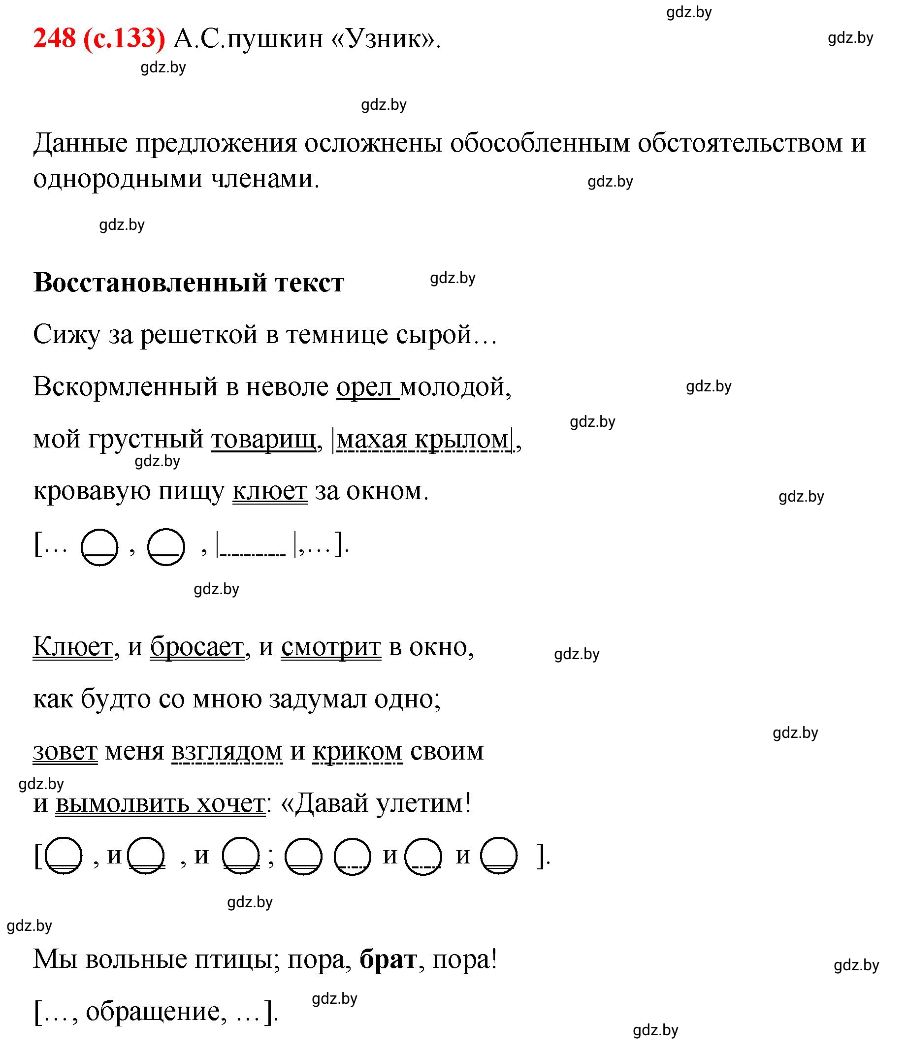 Решение номер 248 (страница 133) гдз по русскому языку 8 класс Мурина, Долбик, учебник