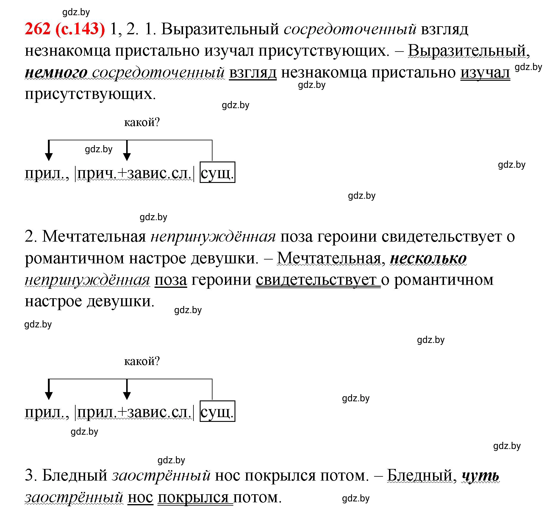 Решение номер 262 (страница 143) гдз по русскому языку 8 класс Мурина, Долбик, учебник