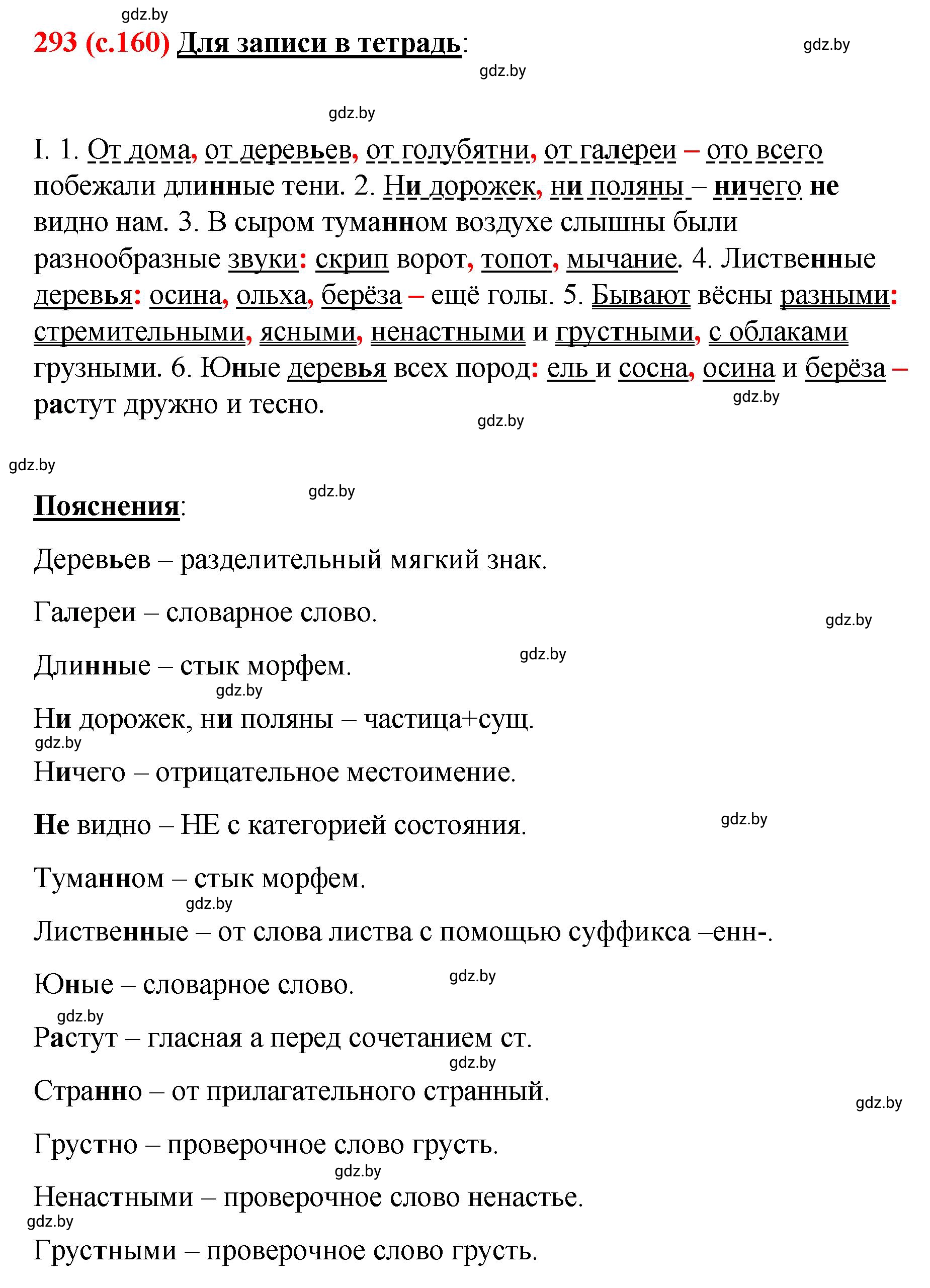 Решение номер 293 (страница 160) гдз по русскому языку 8 класс Мурина, Долбик, учебник