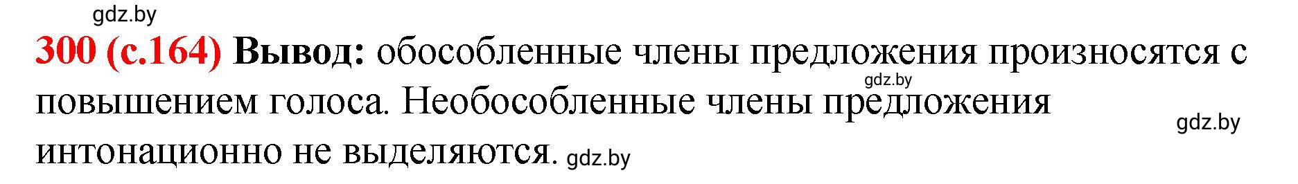 Решение номер 300 (страница 164) гдз по русскому языку 8 класс Мурина, Долбик, учебник