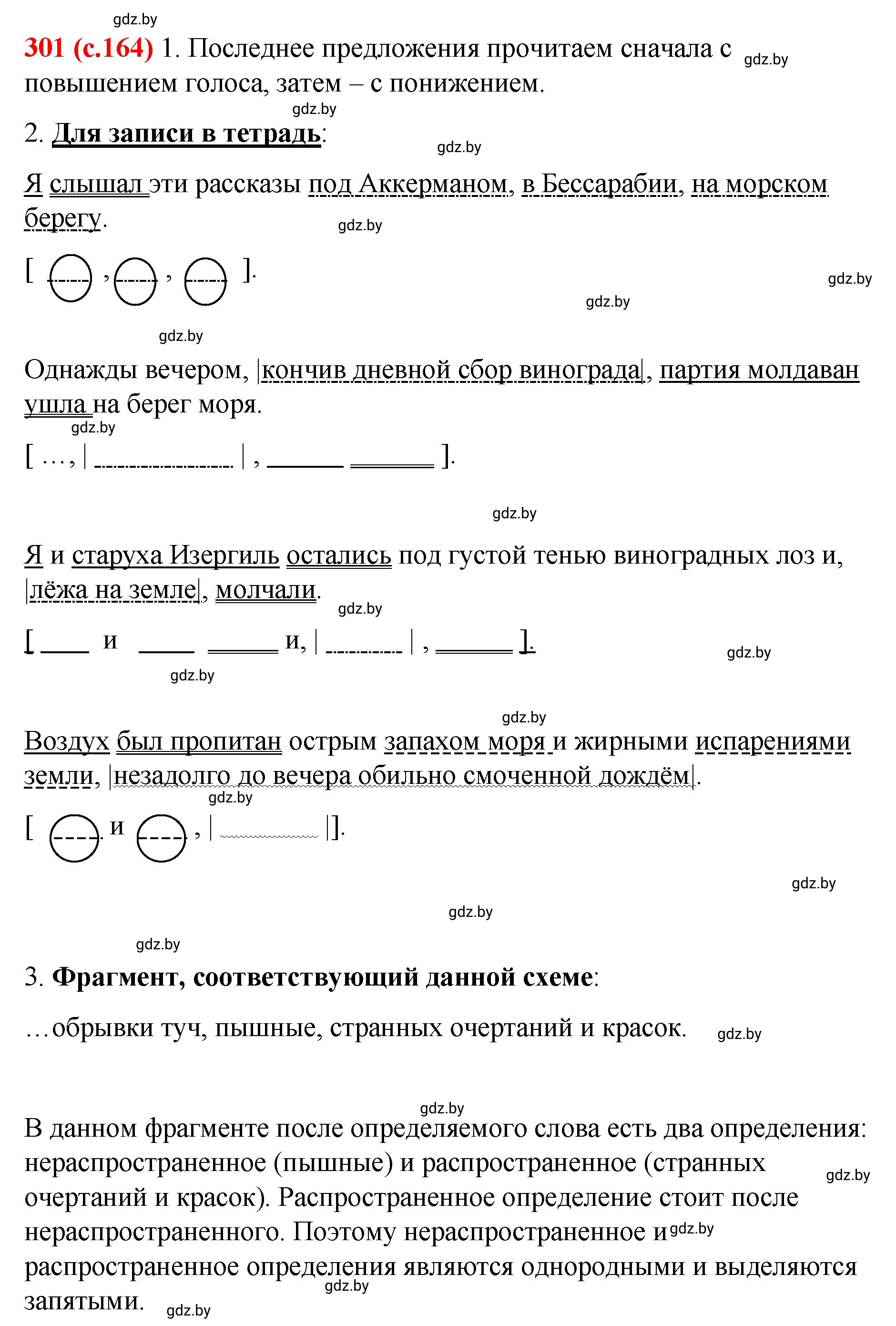 Решение номер 301 (страница 164) гдз по русскому языку 8 класс Мурина, Долбик, учебник