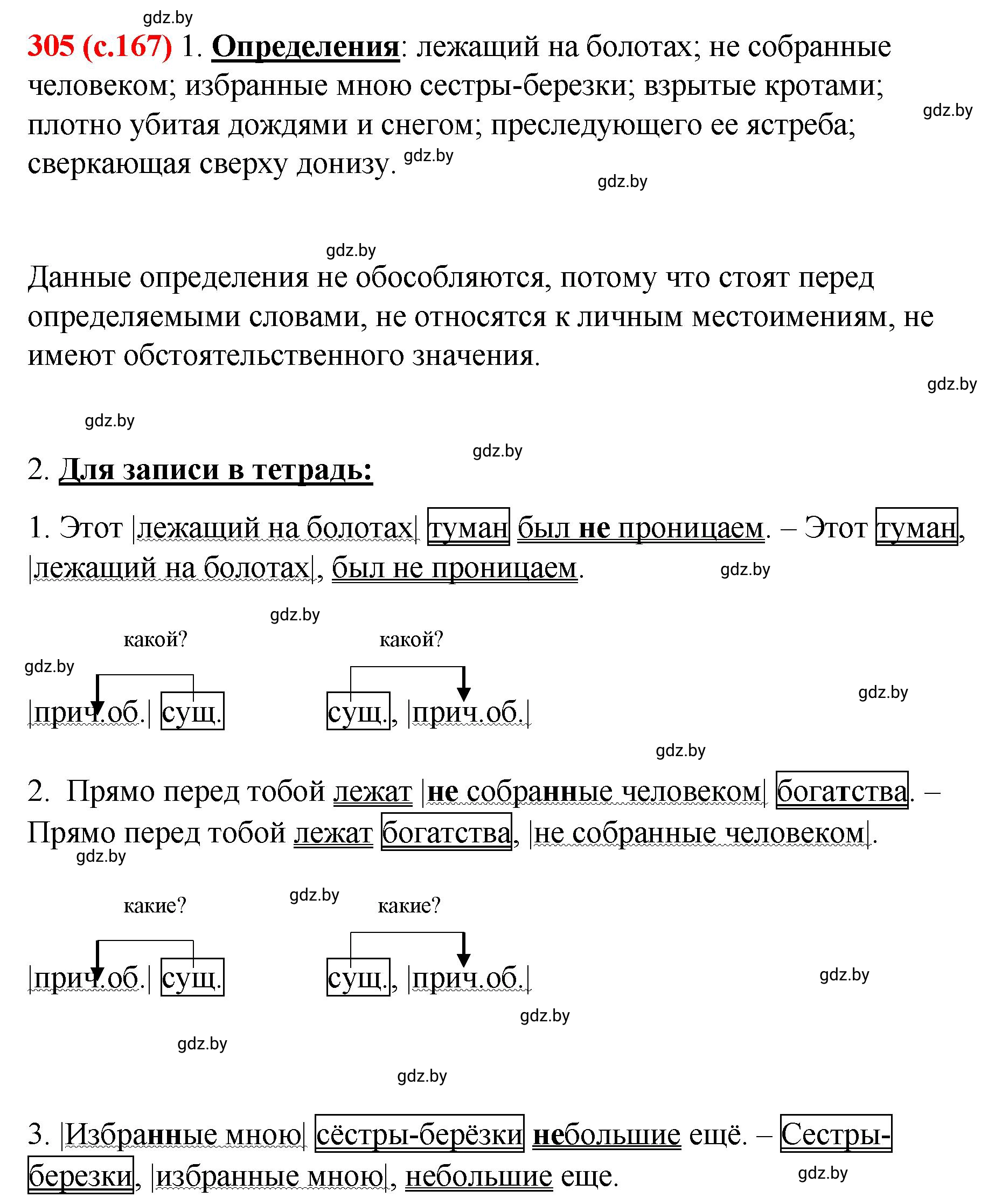 Решение номер 305 (страница 167) гдз по русскому языку 8 класс Мурина, Долбик, учебник