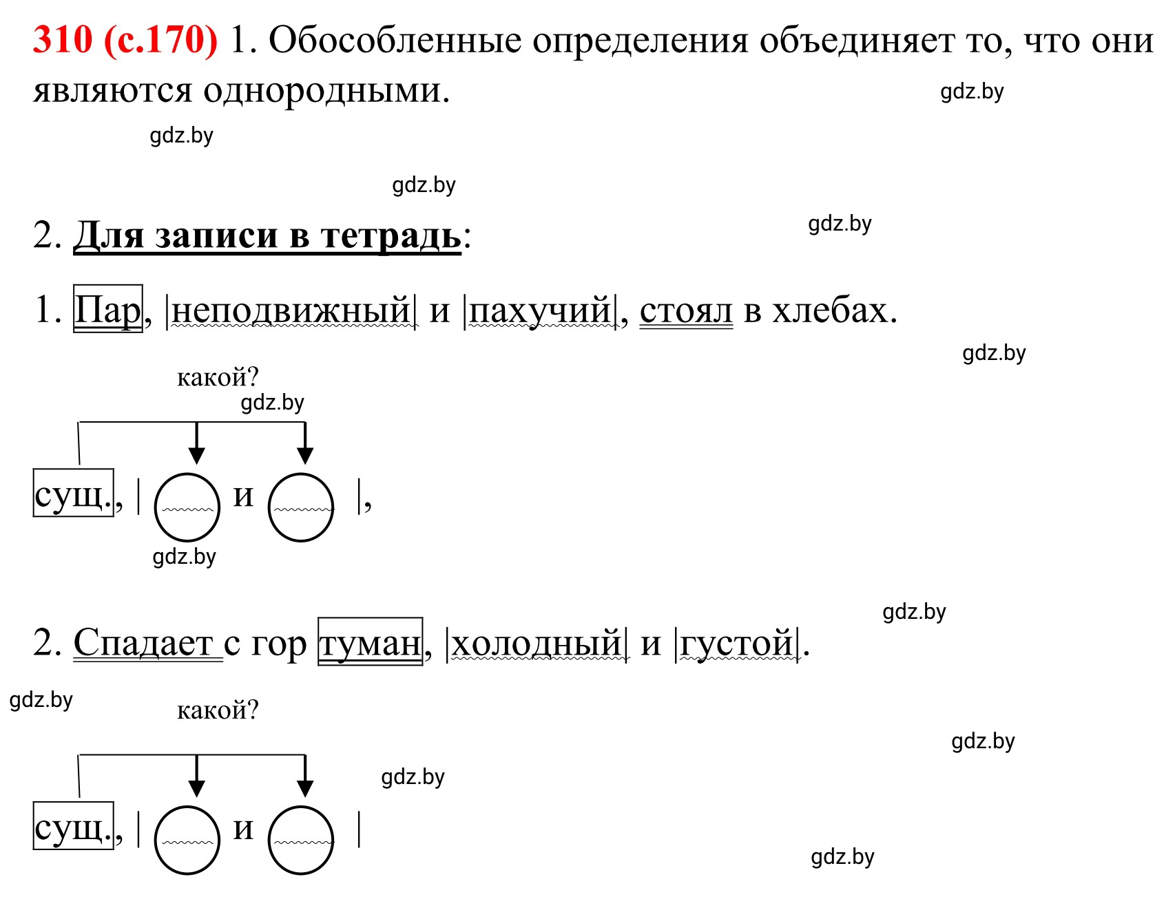 Решение номер 310 (страница 170) гдз по русскому языку 8 класс Мурина, Долбик, учебник