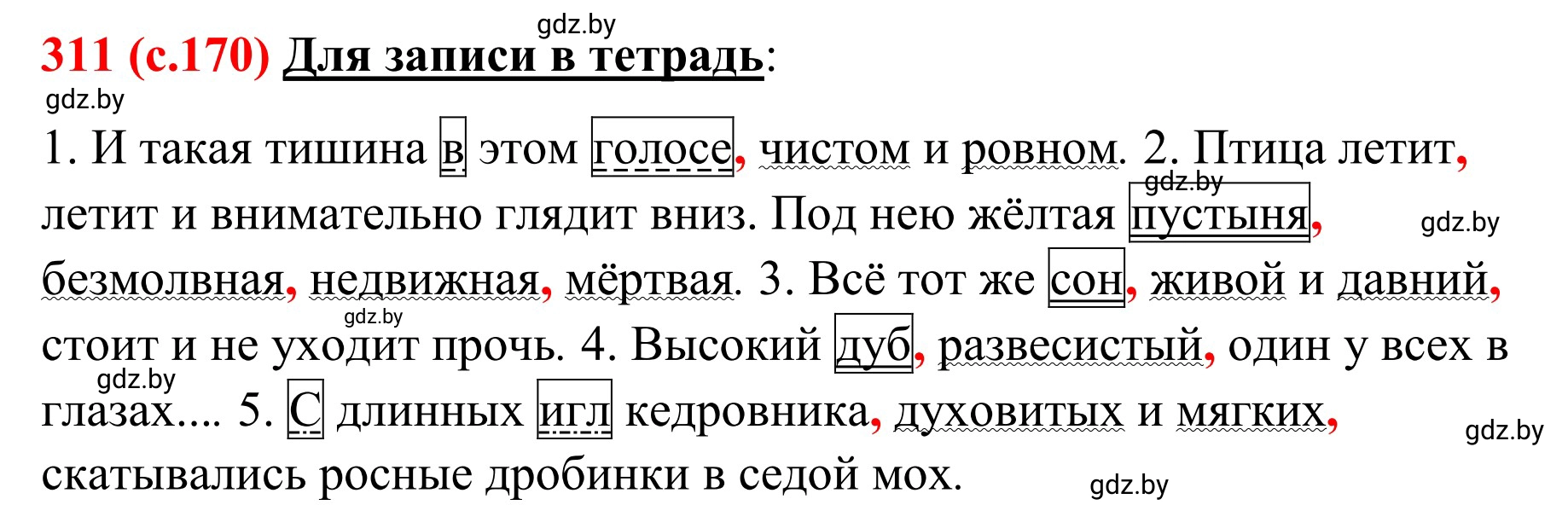 Решение номер 311 (страница 170) гдз по русскому языку 8 класс Мурина, Долбик, учебник