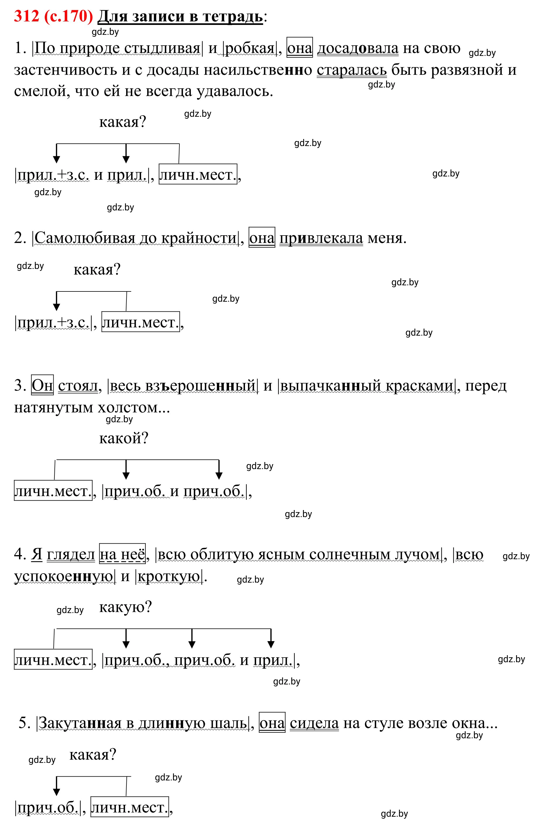 Решение номер 312 (страница 170) гдз по русскому языку 8 класс Мурина, Долбик, учебник