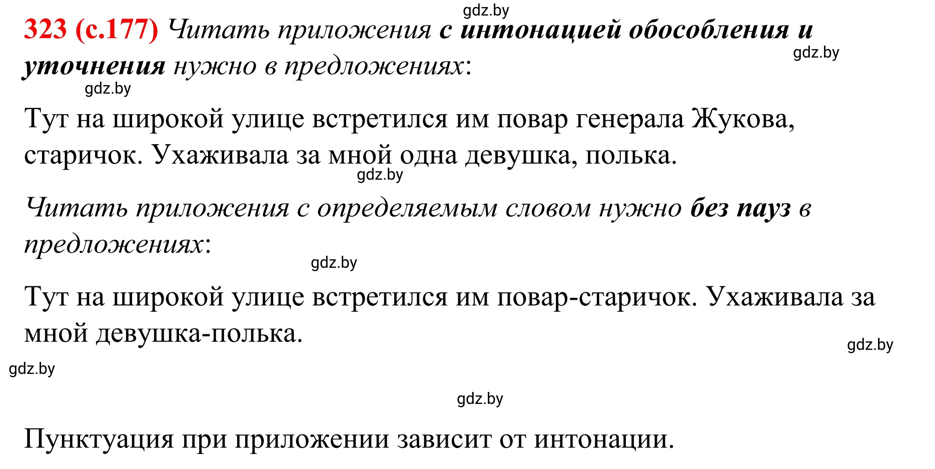 Решение номер 323 (страница 177) гдз по русскому языку 8 класс Мурина, Долбик, учебник