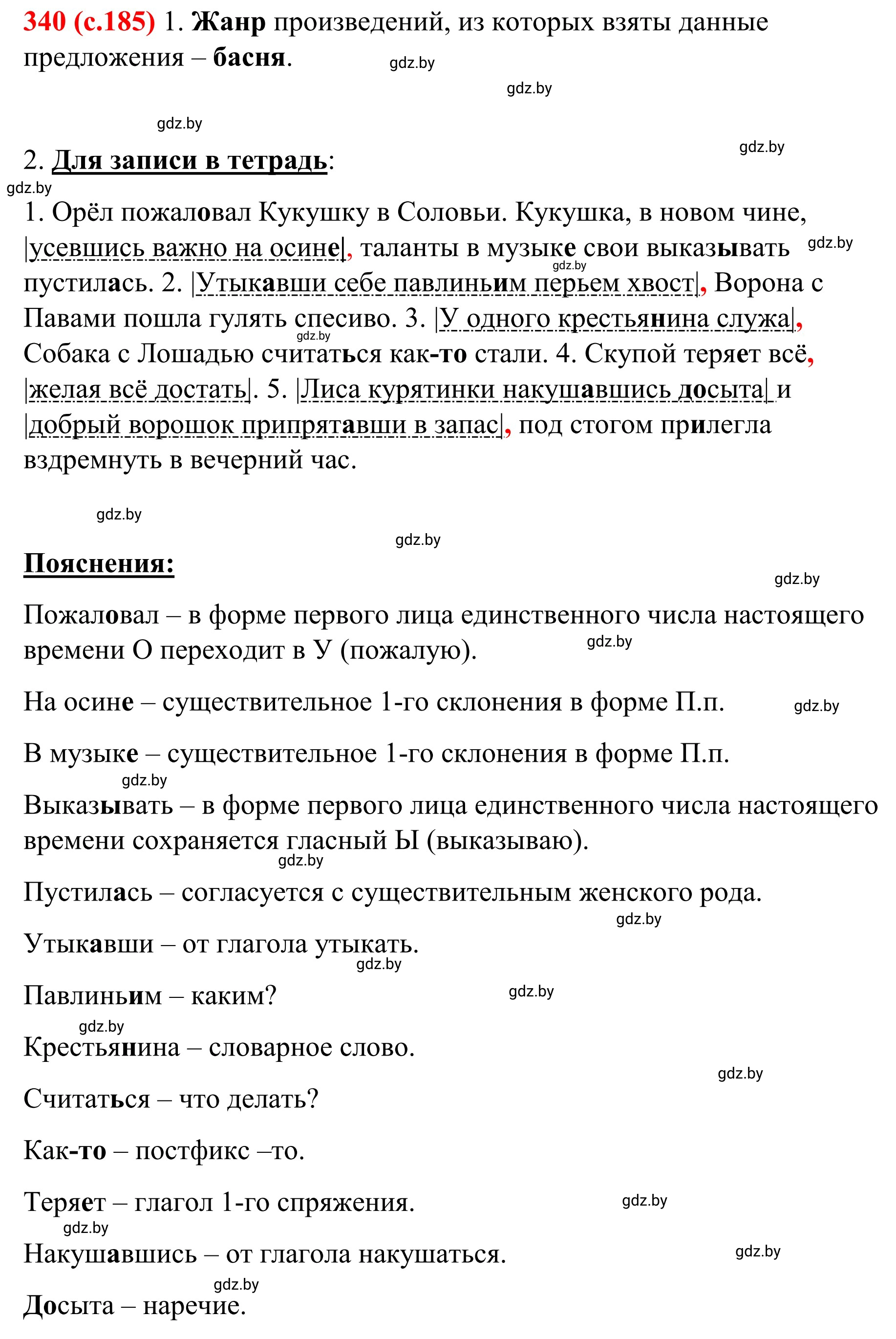 Решение номер 340 (страница 185) гдз по русскому языку 8 класс Мурина, Долбик, учебник