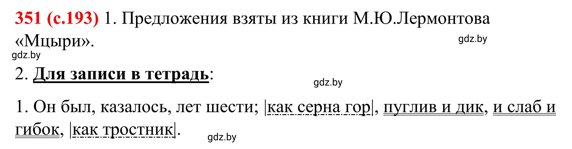 Решение номер 351 (страница 193) гдз по русскому языку 8 класс Мурина, Долбик, учебник