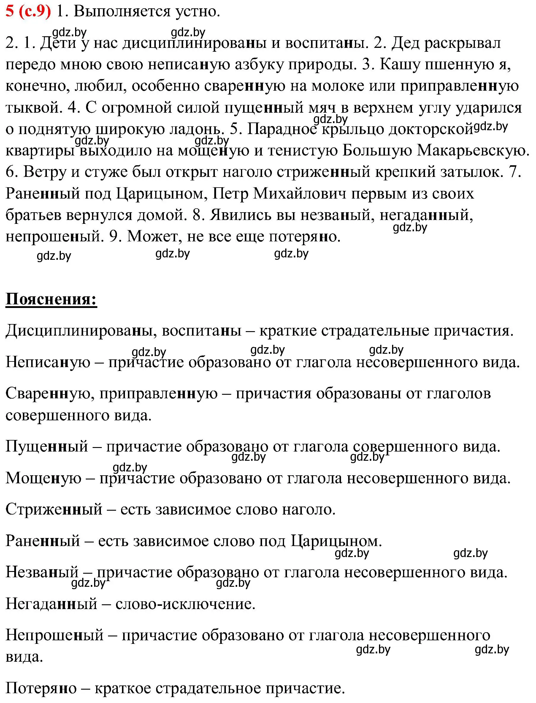 Решение номер 5 (страница 9) гдз по русскому языку 8 класс Мурина, Долбик, учебник