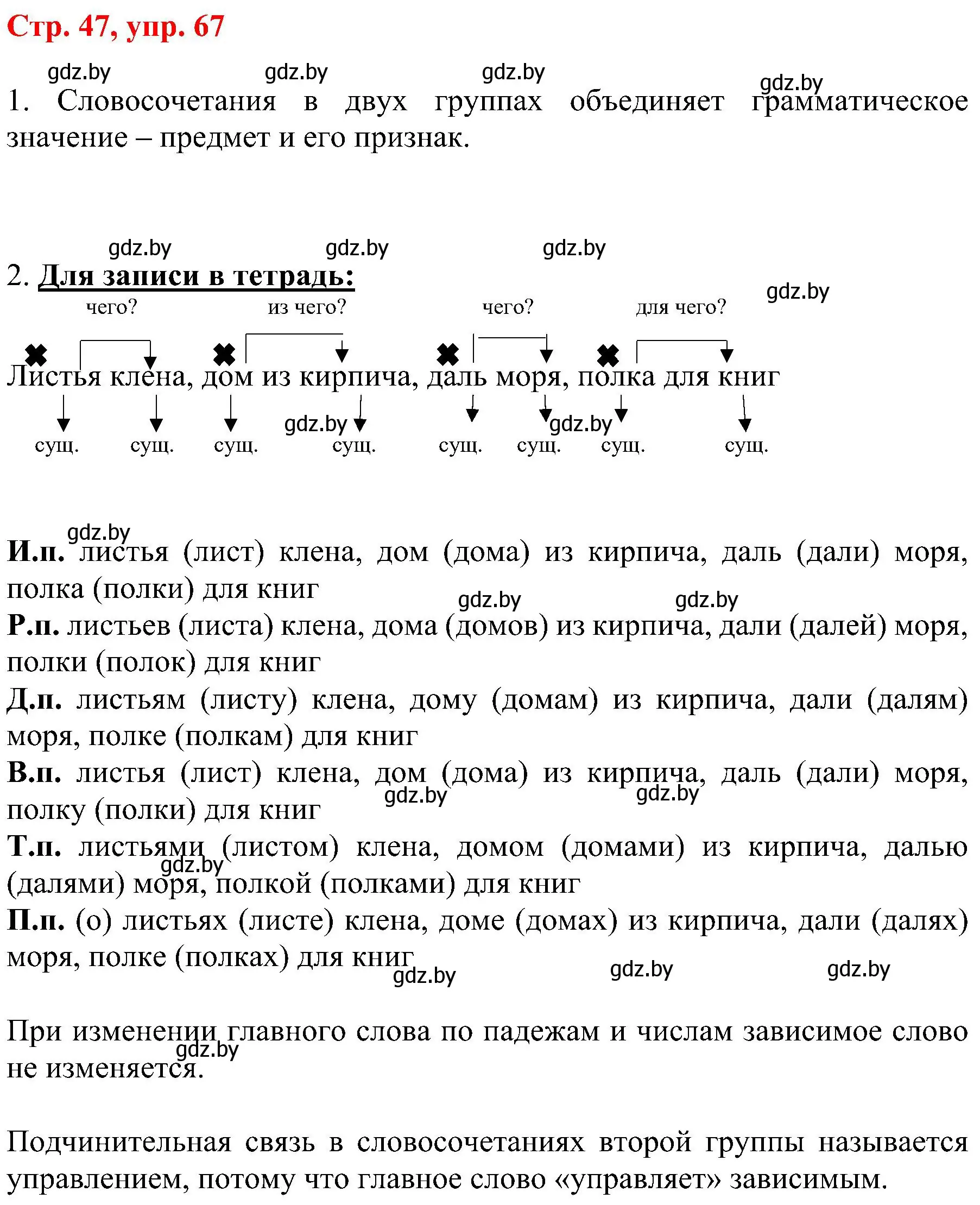 Решение номер 67 (страница 47) гдз по русскому языку 8 класс Мурина, Долбик, учебник