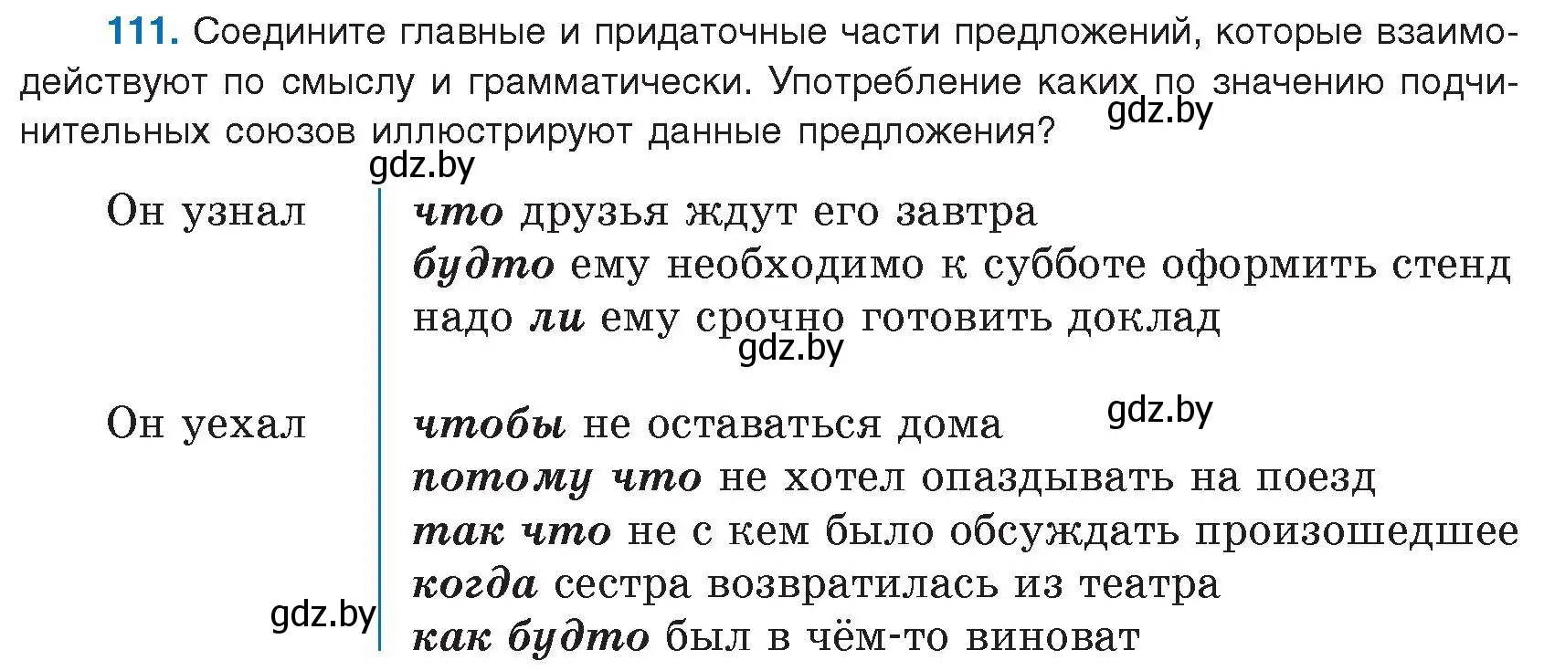 Условие номер 111 (страница 67) гдз по русскому языку 9 класс Мурина, Литвинко, учебник