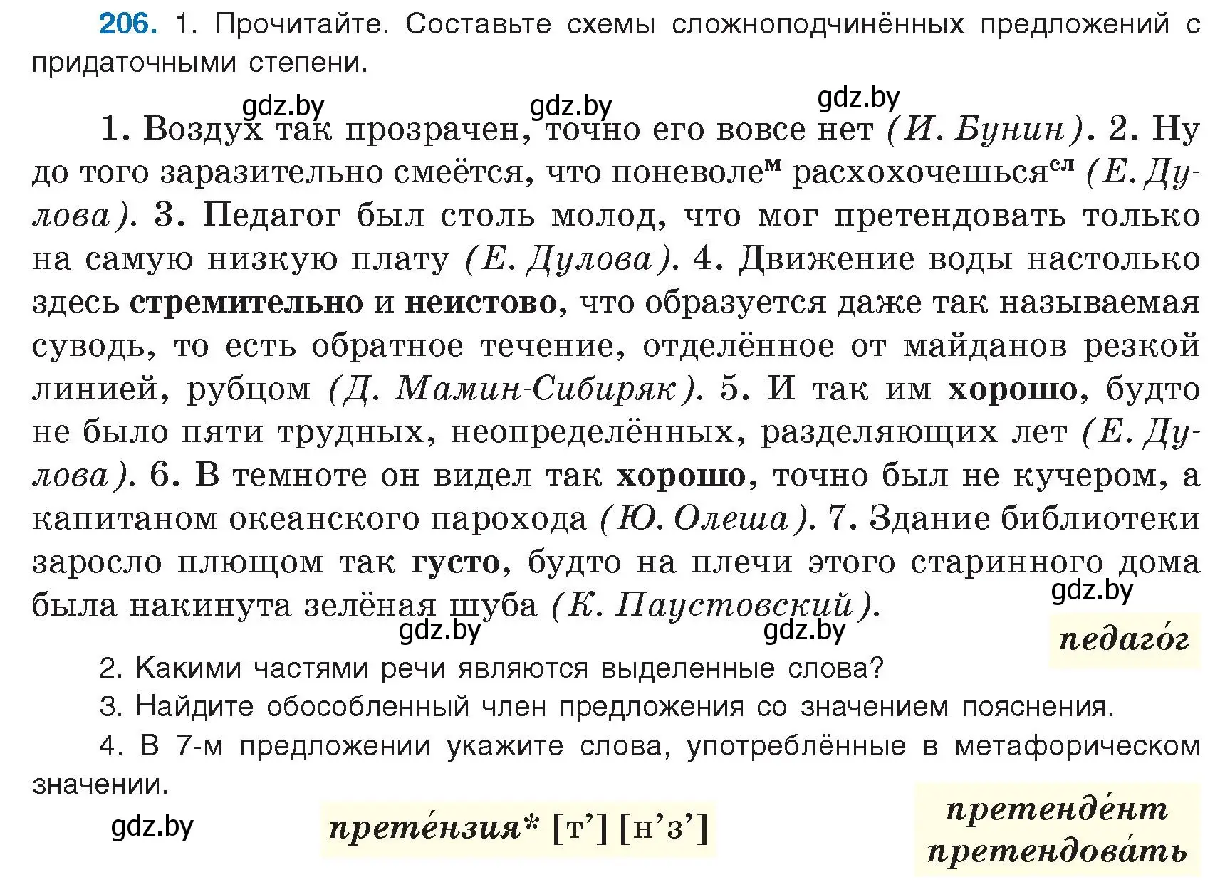 Условие номер 206 (страница 118) гдз по русскому языку 9 класс Мурина, Литвинко, учебник