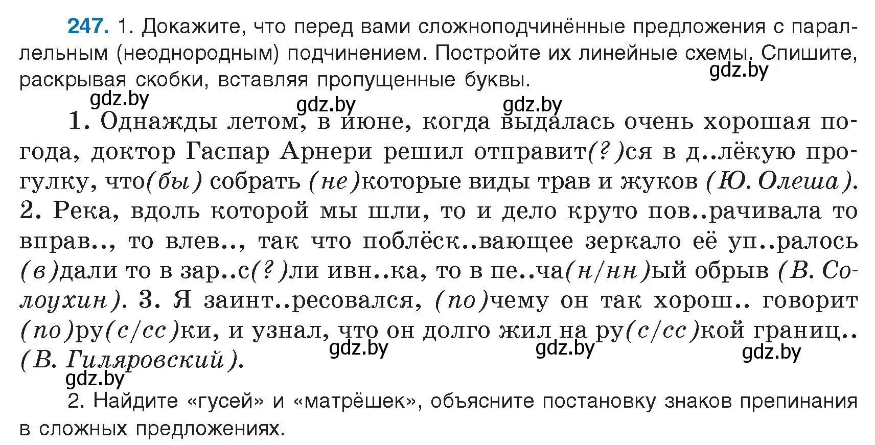 Условие номер 247 (страница 141) гдз по русскому языку 9 класс Мурина, Литвинко, учебник