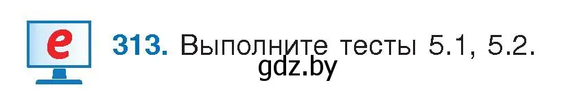 Условие номер 313 (страница 179) гдз по русскому языку 9 класс Мурина, Литвинко, учебник