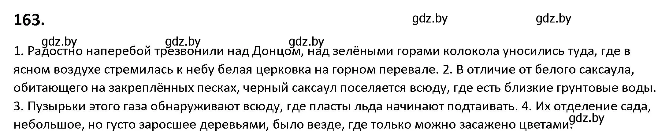 Решение номер 163 (страница 96) гдз по русскому языку 9 класс Мурина, Литвинко, учебник