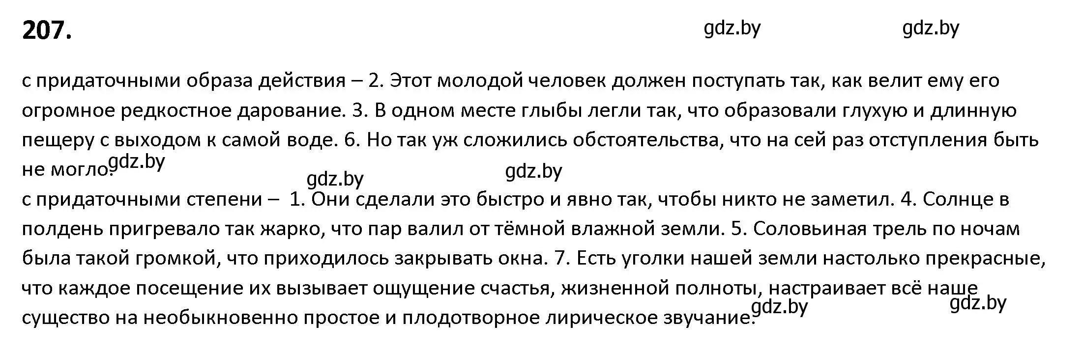 Решение номер 207 (страница 118) гдз по русскому языку 9 класс Мурина, Литвинко, учебник