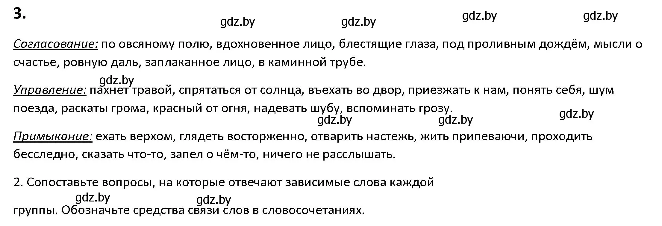 Решение номер 3 (страница 5) гдз по русскому языку 9 класс Мурина, Литвинко, учебник