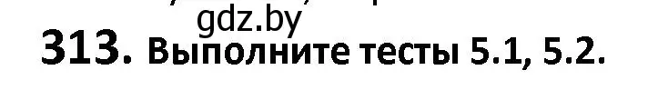 Решение номер 313 (страница 179) гдз по русскому языку 9 класс Мурина, Литвинко, учебник