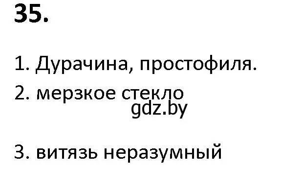 Решение номер 35 (страница 26) гдз по русскому языку 9 класс Мурина, Литвинко, учебник