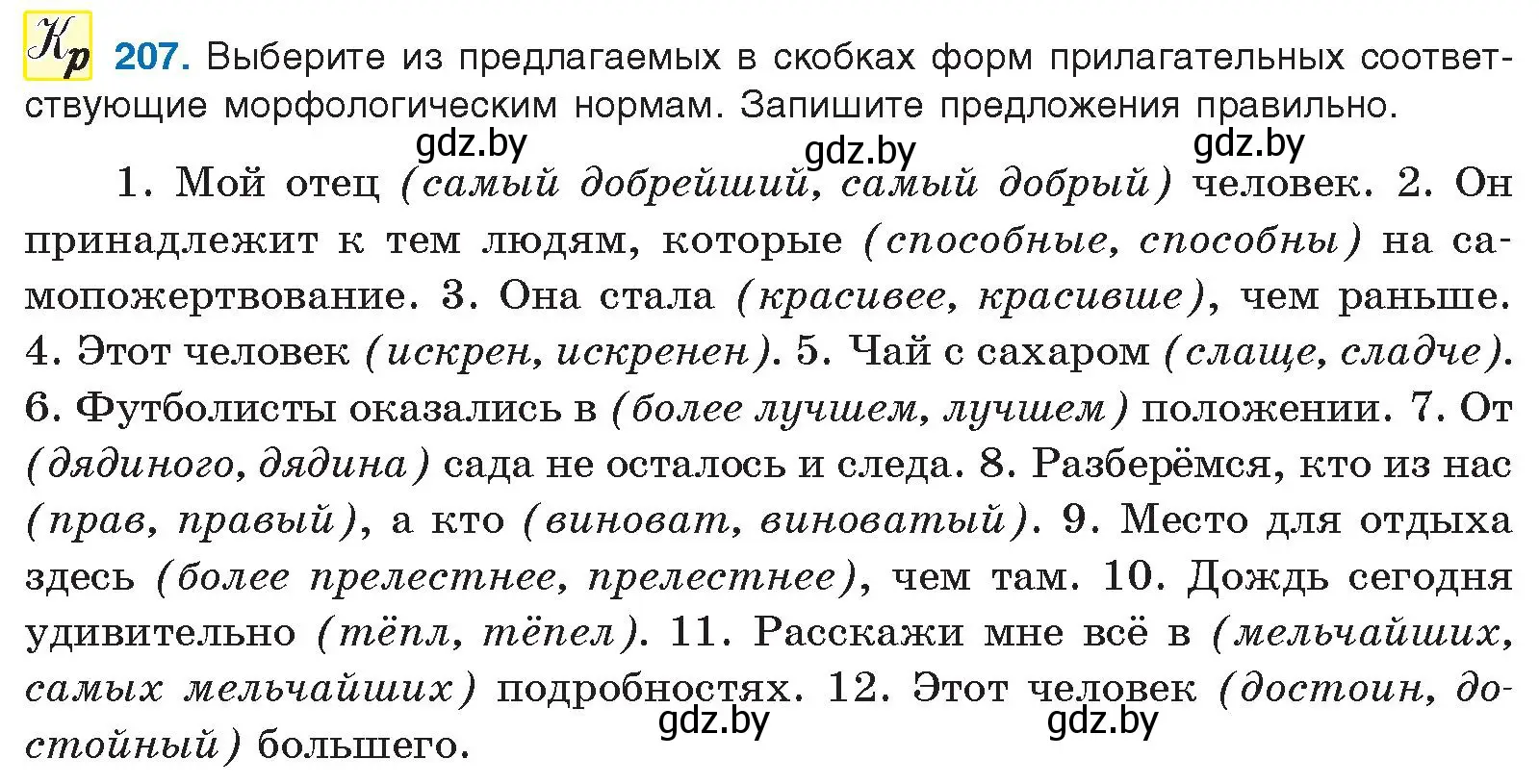 Условие номер 207 (страница 117) гдз по русскому языку 10 класс Леонович, Волынец, учебник