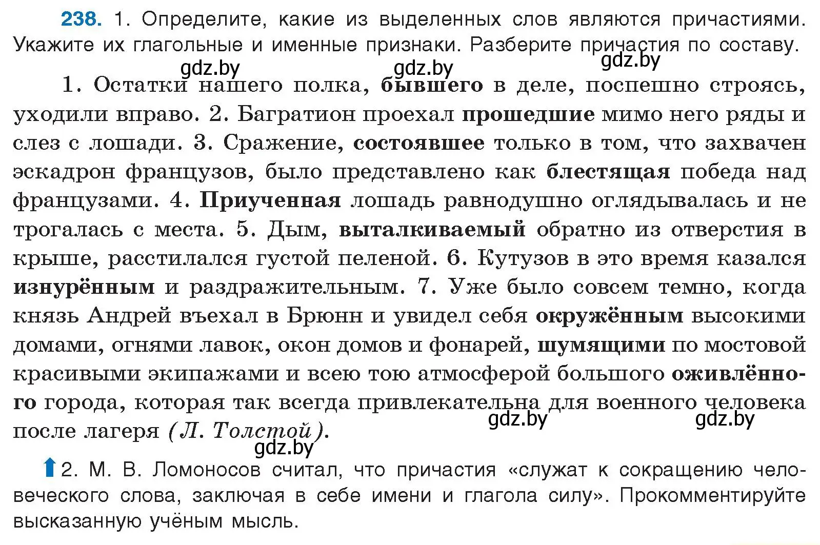 Условие номер 238 (страница 133) гдз по русскому языку 10 класс Леонович, Волынец, учебник