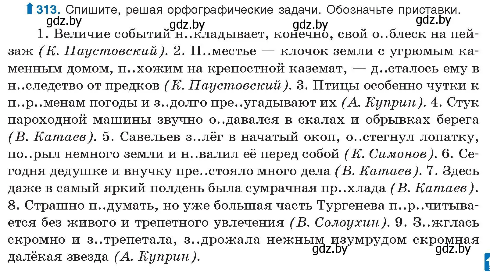 Условие номер 313 (страница 165) гдз по русскому языку 10 класс Леонович, Волынец, учебник