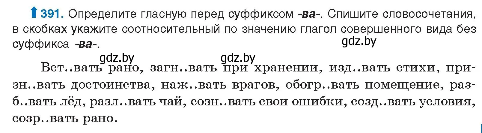 Условие номер 391 (страница 207) гдз по русскому языку 10 класс Леонович, Волынец, учебник