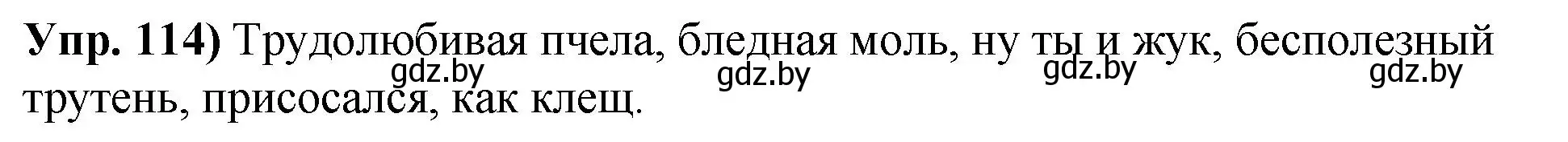 Решение номер 114 (страница 73) гдз по русскому языку 10 класс Леонович, Волынец, учебник