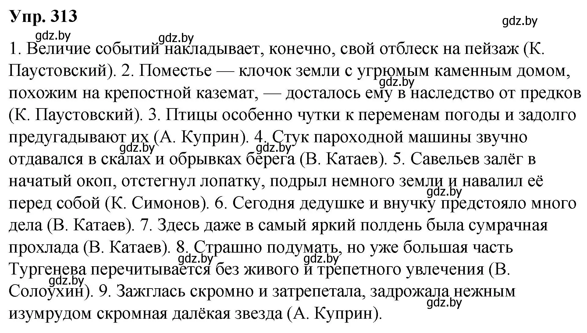 Решение номер 313 (страница 165) гдз по русскому языку 10 класс Леонович, Волынец, учебник