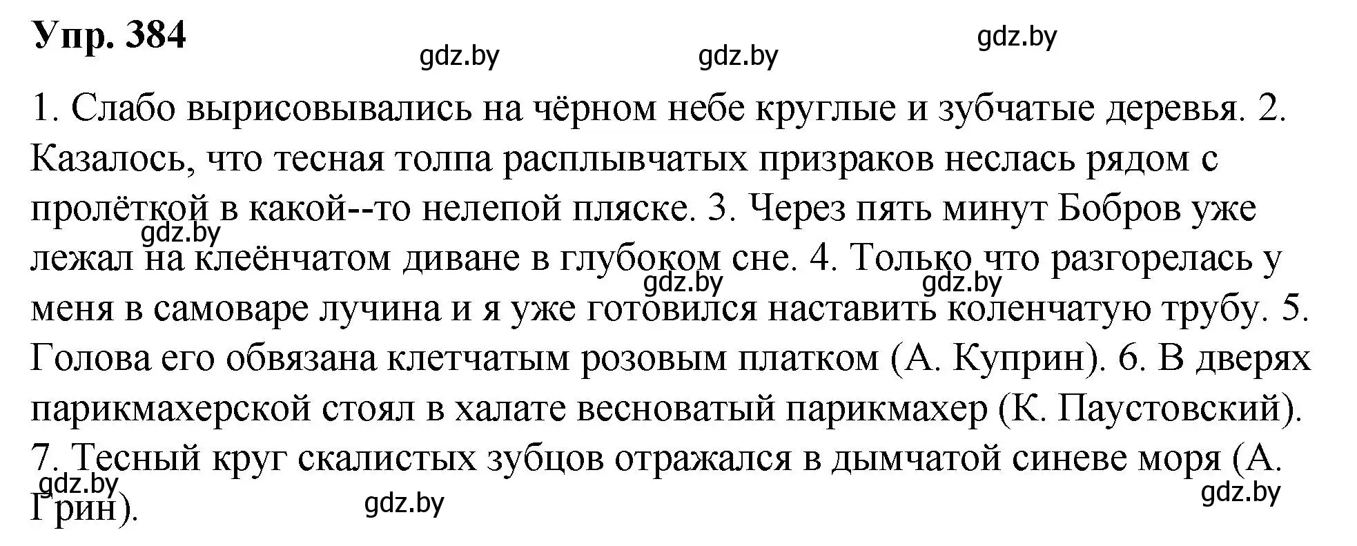 Решение номер 384 (страница 204) гдз по русскому языку 10 класс Леонович, Волынец, учебник