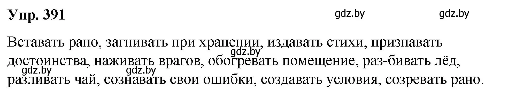 Решение номер 391 (страница 207) гдз по русскому языку 10 класс Леонович, Волынец, учебник