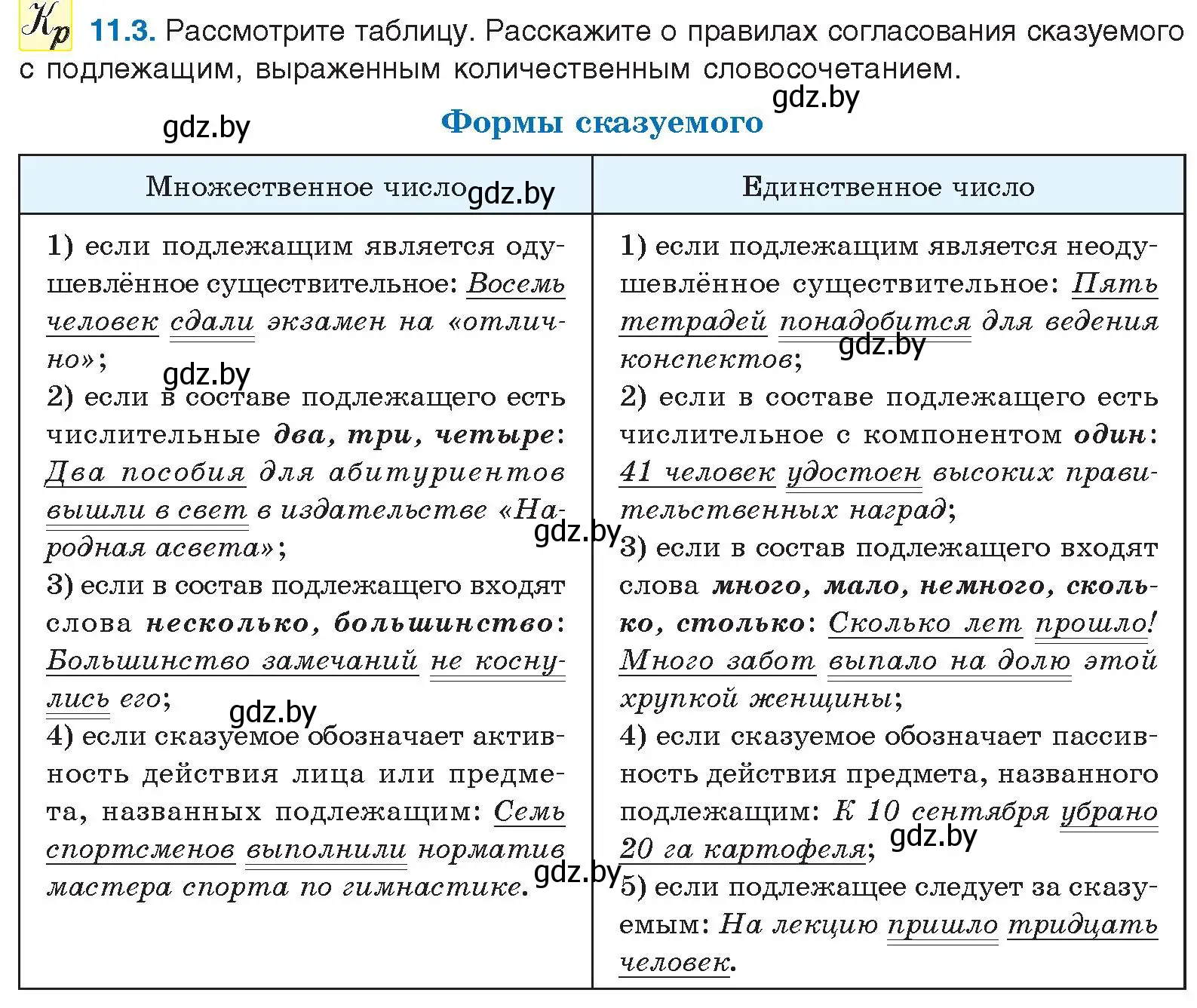 Условие номер 11.3 (страница 65) гдз по русскому языку 11 класс Долбик, Литвинко, учебник