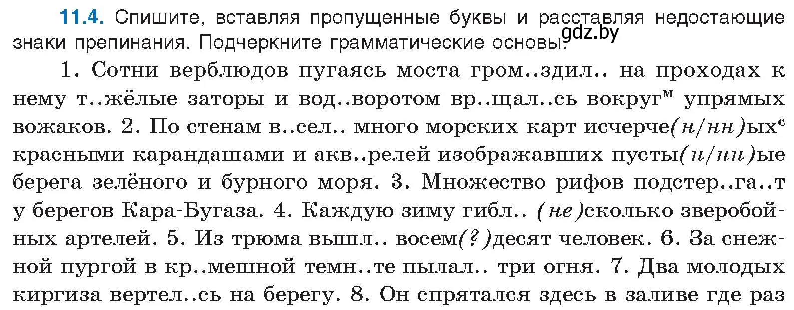 Условие номер 11.4 (страница 65) гдз по русскому языку 11 класс Долбик, Литвинко, учебник