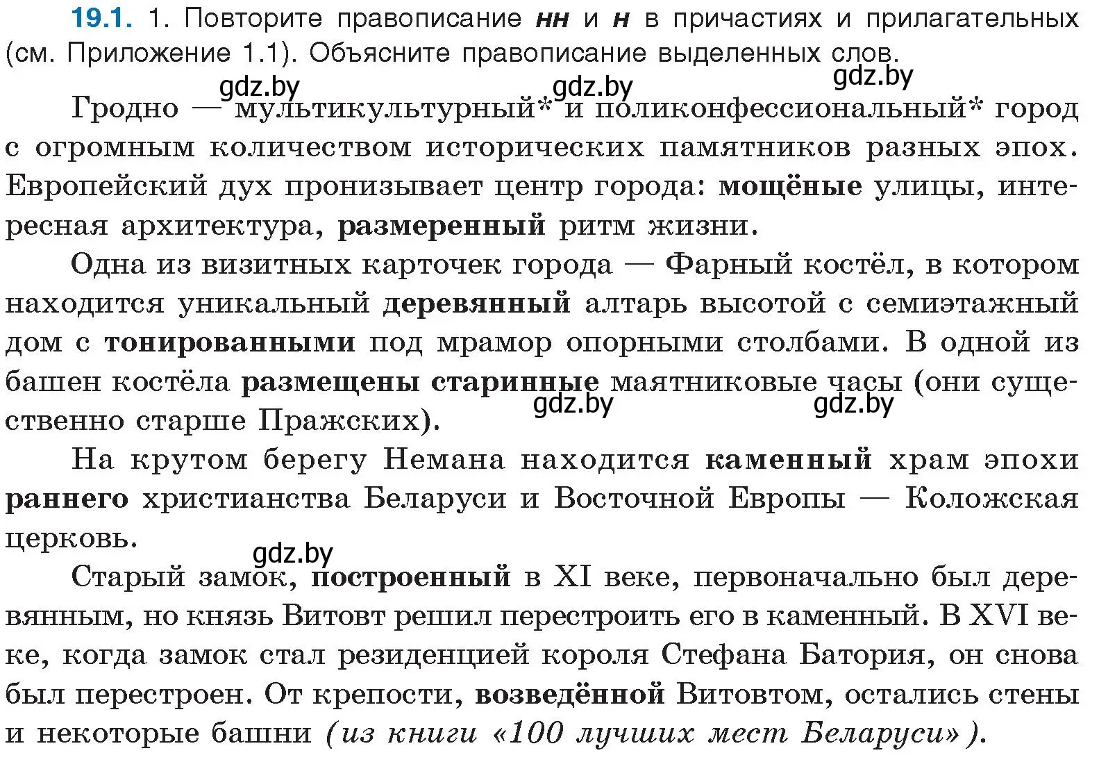 Условие номер 19.1 (страница 126) гдз по русскому языку 11 класс Долбик, Литвинко, учебник