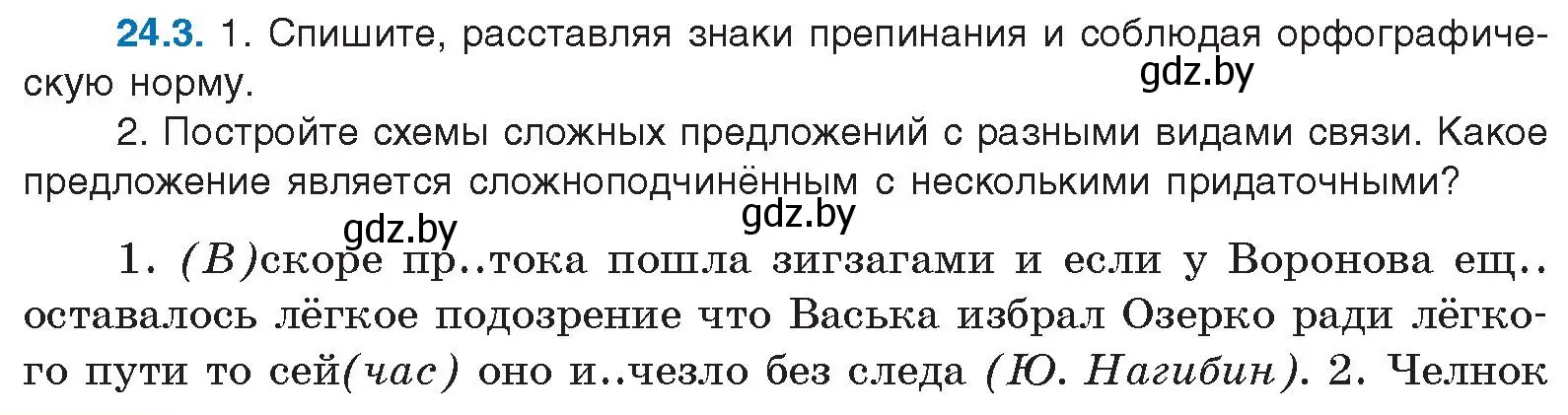 Условие номер 24.3 (страница 162) гдз по русскому языку 11 класс Долбик, Литвинко, учебник