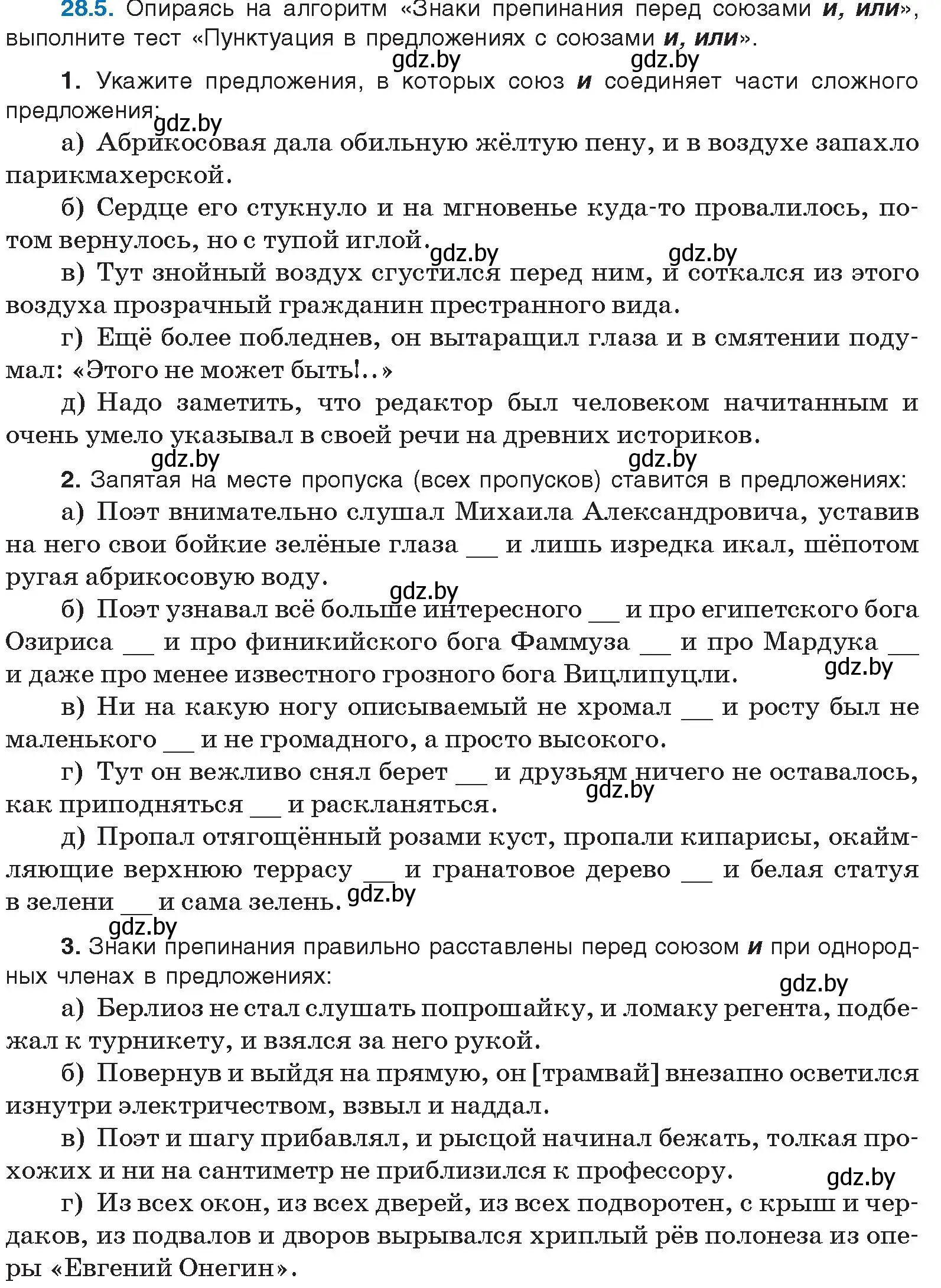 Условие номер 28.5 (страница 193) гдз по русскому языку 11 класс Долбик, Литвинко, учебник