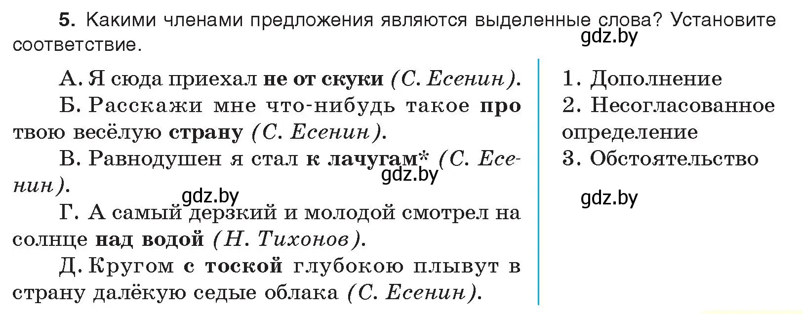 Условие номер 5 (страница 251) гдз по русскому языку 11 класс Долбик, Литвинко, учебник