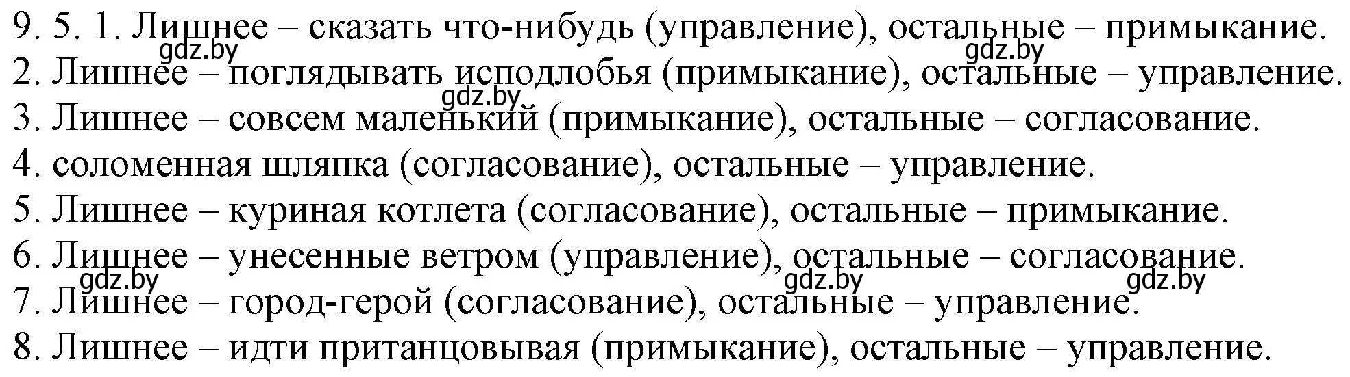 Решение номер 9.5 (страница 53) гдз по русскому языку 11 класс Долбик, Литвинко, учебник