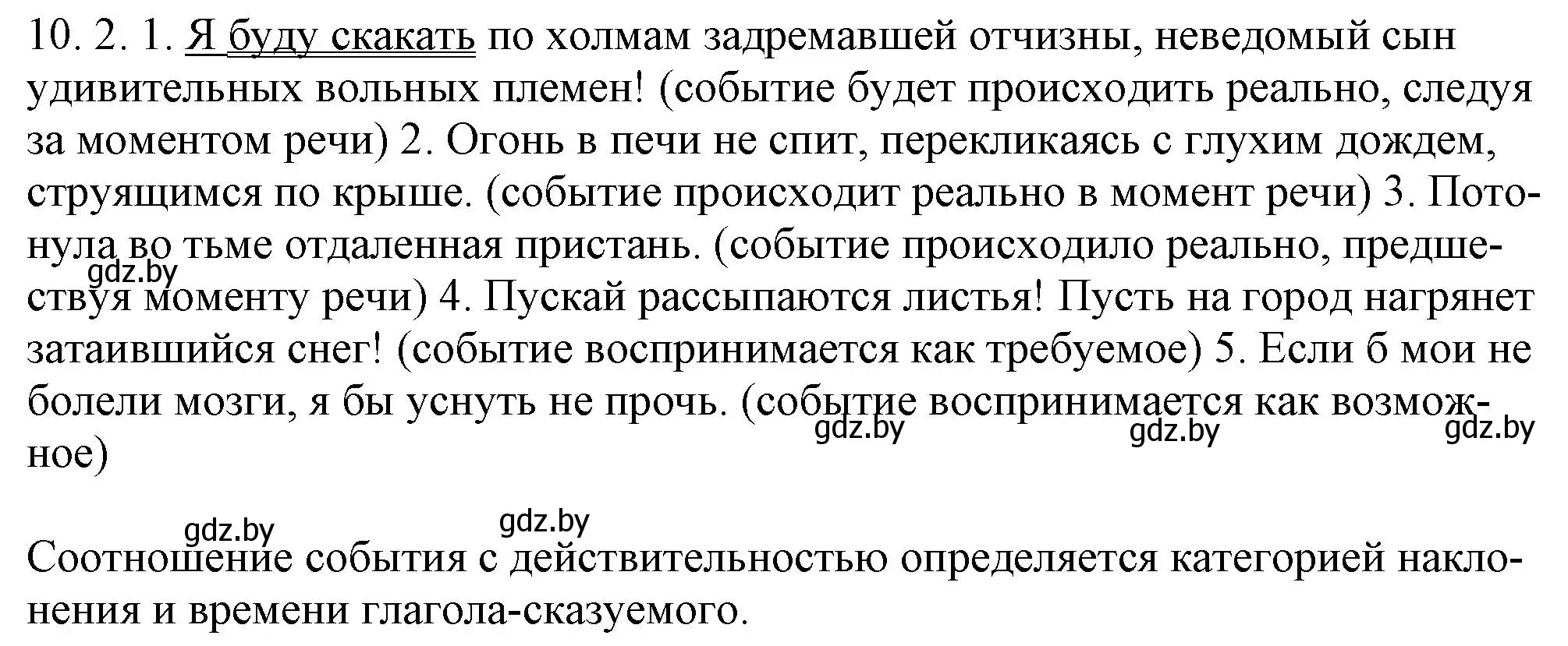 Решение номер 10.2 (страница 60) гдз по русскому языку 11 класс Долбик, Литвинко, учебник