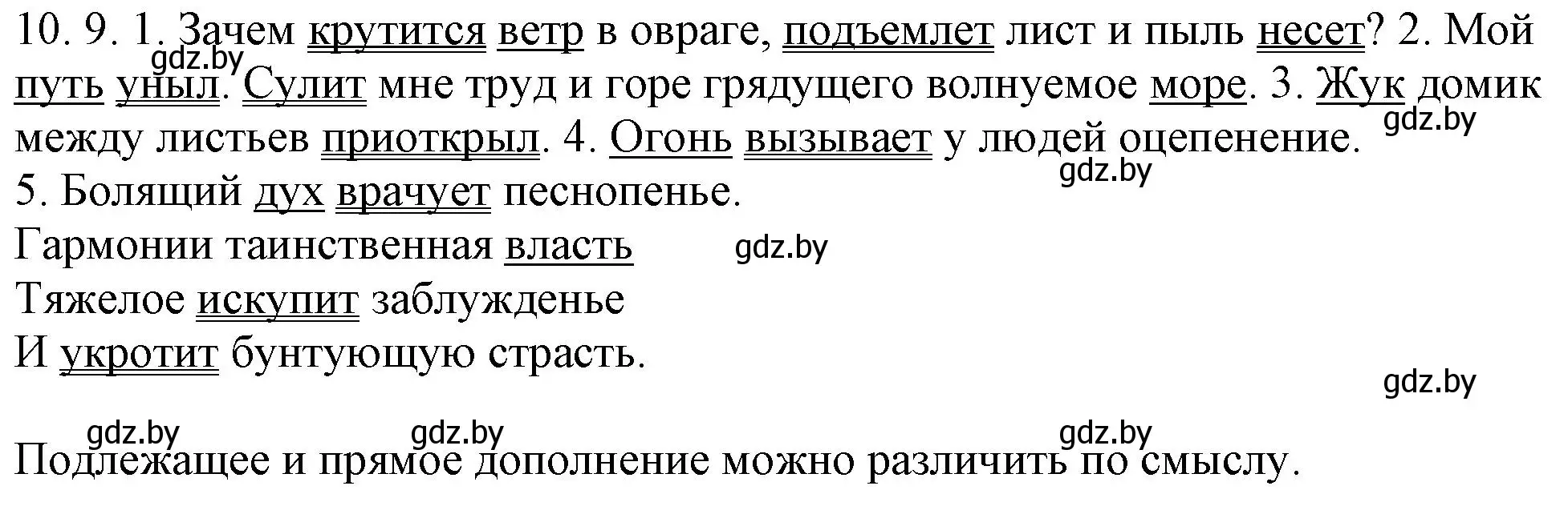 Решение номер 10.9 (страница 63) гдз по русскому языку 11 класс Долбик, Литвинко, учебник